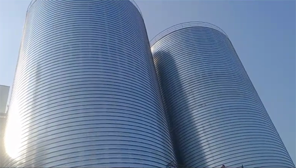 郑州2座混凝土高架卷板仓